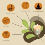 Premium Moonlit Jasmine Scented Jar Candle – 100% Vegan | Ekayaa Enterprise - Image 2
