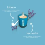 Premium Lavender Scented Jar Candle – 100% Vegan | Ekayaa Enterprise - Image 4