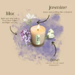 Premium Moonlit Jasmine Scented Jar Candle – 100% Vegan | Ekayaa Enterprise - Image 4